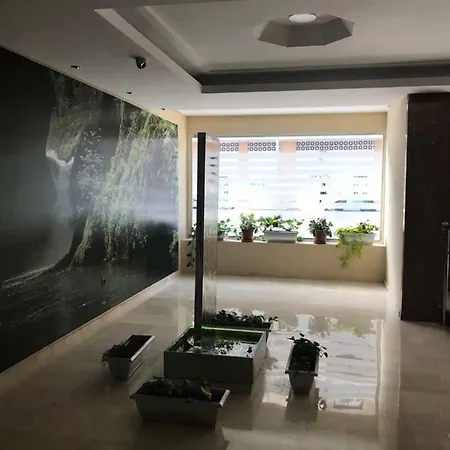 Estudio * 托雷莫利诺斯